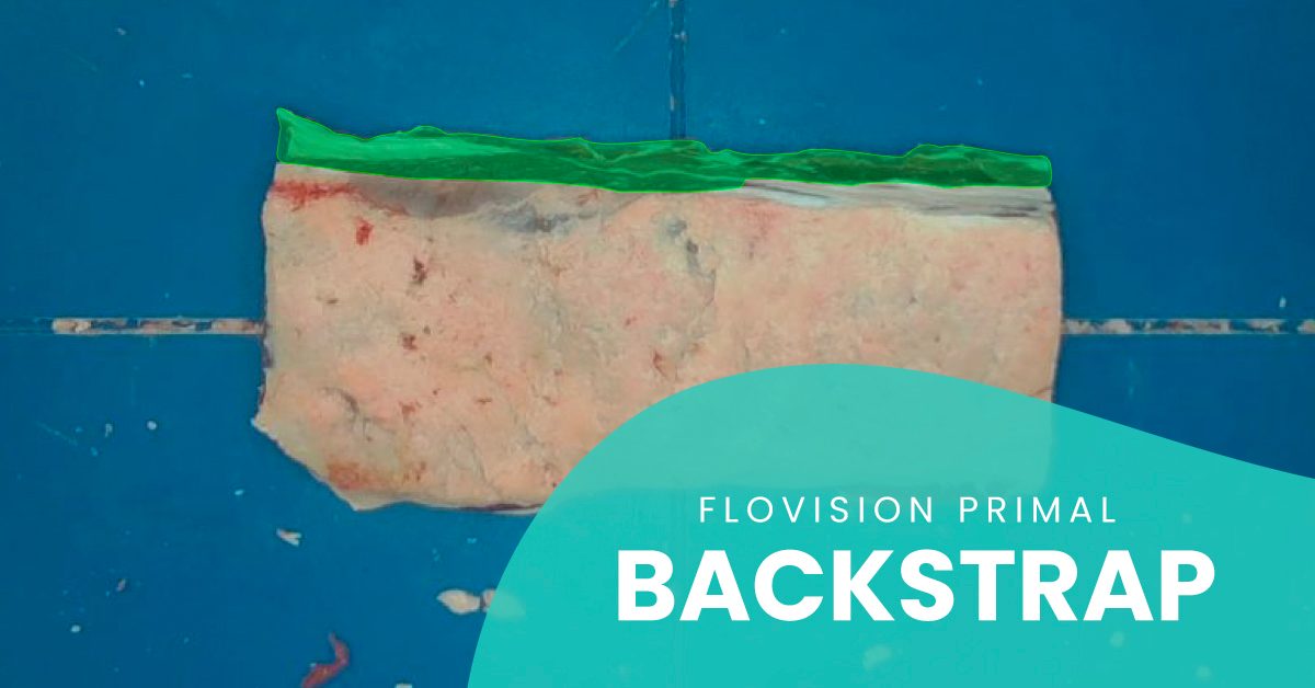 Beef striploin primal with the backstrap highlighted in green and a blob overlay that says "FloVision Primal Backstrap"