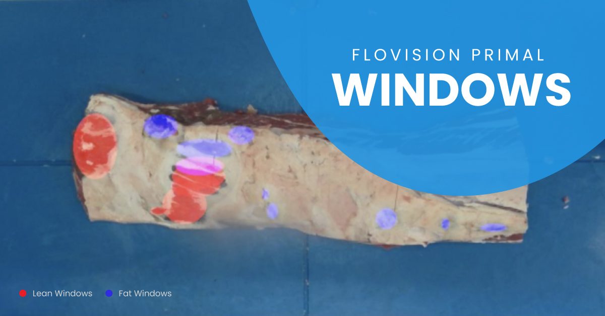 Beef striploin primal with the windows highlighted in blue and red and a blob overlay that says "FloVision Primal Windows"